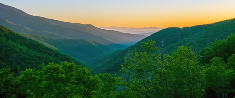 DELETE at any time hero images for places listing generic 1 768x320