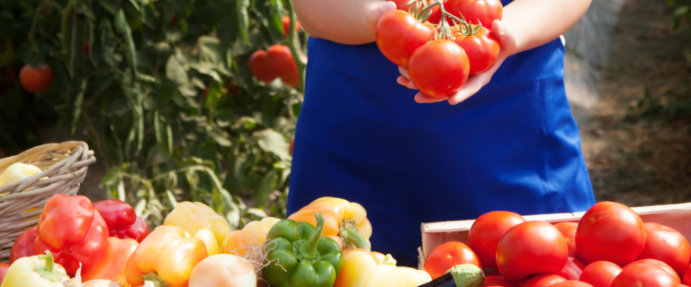 DELETE at any time hero images for places listing generic 5 768x320