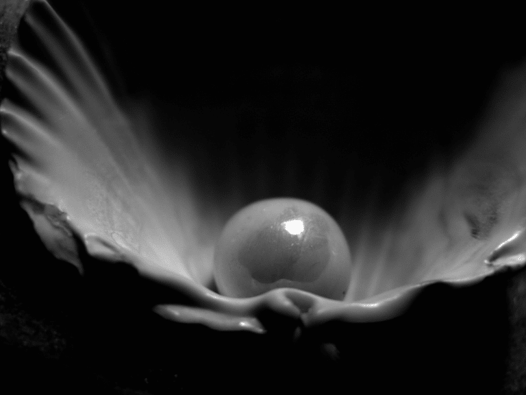 Pearl spa columbia md 768x576